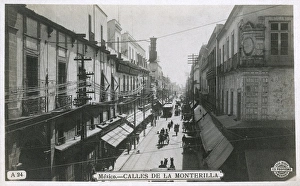 Calle Gallery: Calles de la Monterilla, Mexico City, Mexico
