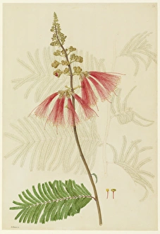 Kew Gardens