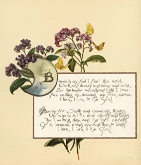 Calligraphic poem in box with flowers and butterflies