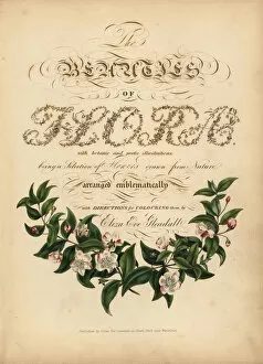 Botanic Collection: Calligraphic title page with vignette