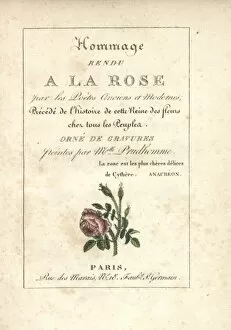 Calligraphic title page with vignette of a moss rose