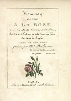 Titlepage Prints: Calligraphic title page with vignette of a moss rose