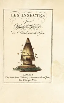 Images Dated 31st March 2020: Calligraphic title and vignette of beehive with bees