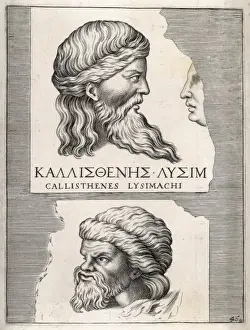 Callisthenes