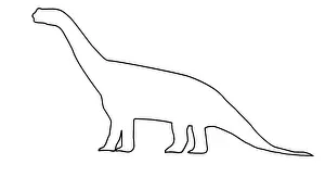 Jurassic Prints: Camarasaurus