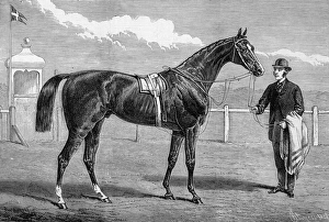 Images Dated 9th October 2004: Camballo, Winner of the Two Thousand Guineas Stakes