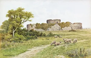 Camber Castle, near Rye, Sussex