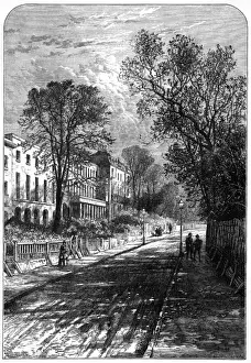 Grove Prints: Camberwell Grove