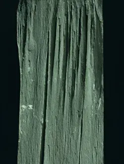 Cambrian Prints: Slate
