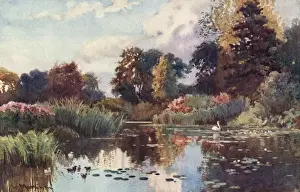Cambridge / Botanic Gdns