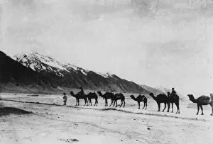 Camel Caravan 1930S