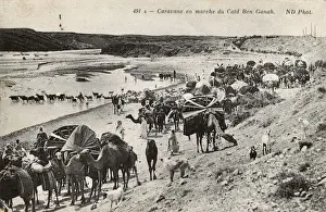 Biskra Prints: Camel caravan in Biskra district, Algeria