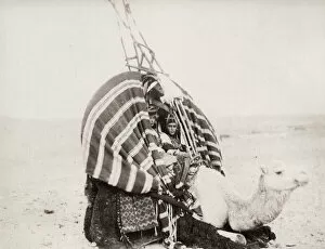Cold Gallery: Camel carrying young women, Algeria