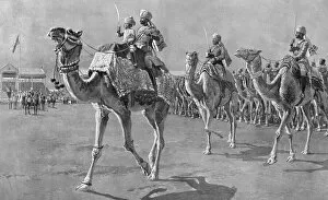 Images Dated 19th October 2015: Camel corps at Delhi Durbar, 1912
