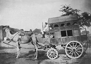 Camel-drawn vehicle, India