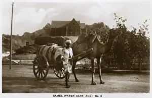 Camel-drawn water cart, Aden