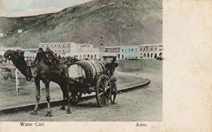 Images Dated 27th October 2016: Camel-drawn water cart, Aden