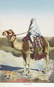 Camel Driver