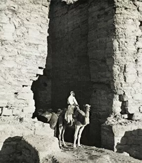 Jordan Gallery: Camel driver at Petra, Jordan