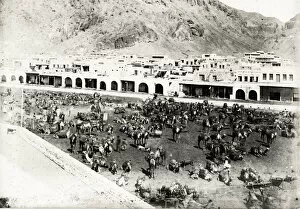 Camel halt and market, Aden, Yemen