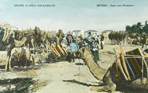 Camel Market - Izmir, Turkey