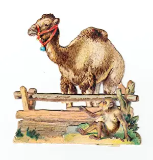 Camel and monkey on a cutout greetings card