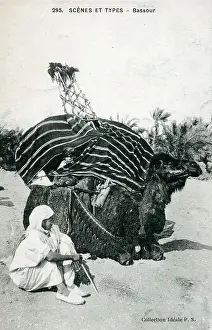 Palanquin Prints: A camel palanquin (covered litter), southern Algeria
