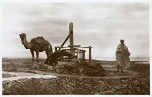 Keeper Prints: Camel-powered water wheel in Morocco