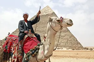 Pyramids Prints: Camel and Pyramid of Khafre in Cairo, Egypt