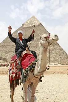 Camel and Pyramid of Khafre in Cairo, Egypt