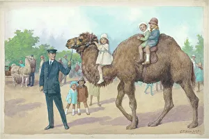 Camel Ride at London Zoo