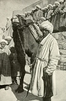 Images Dated 31st July 2018: Camel rider in Bukhara, Uzbekistan, Central Asia