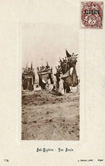 Images Dated 2nd June 2017: Camel smala or mobile headquarters, Southern Algeria
