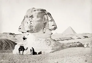 Camel in front of the Sphinx, Egypt, c. 1880
