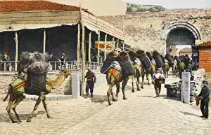 Bundles Prints: A camel train - Constantinople