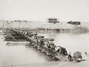 Pontoon Prints: Camel train crossing a pontoon bridge River Nile, Egypt