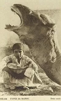 Camel and Young Moroccan Boy - Two Friends