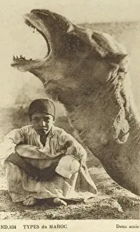 Yawning Prints: Camel and Young Moroccan Boy - Two Friends