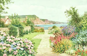 Camellia Prints: Camellia Walk, Connaught Gardens, Sidmouth, East Devon