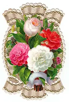 Camellias Prints: Camellias tied with lacy ribbon on a greetings card