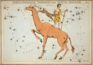 Camelopardalis Prints: Camelopardalis, Tarandus and Custos Messium