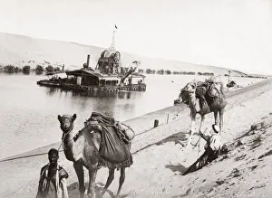 Camels and a dregder, Suze Canal, Egypt, c. 1880 s