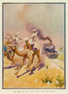Blood Collection: Camels and Iron Horse
