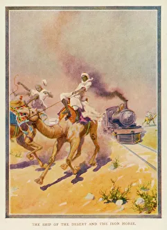 Images Dated 16th October 2007: Camels and Iron Horse