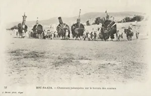 Images Dated 15th December 2020: Camels palanquins on the racing grounds