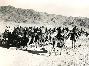 Camels and riders, Mesopotamia, WW1