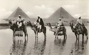 Gizeh Prints: Camels and riders near the Pyramids, Egypt