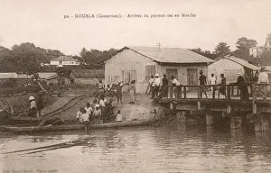 Cameroon - Douala - Arrival of the fish catch for market