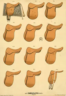 Saddle Prints: Camille & Fils, Paris - Horse Saddles