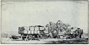 Warner Prints: The Camp